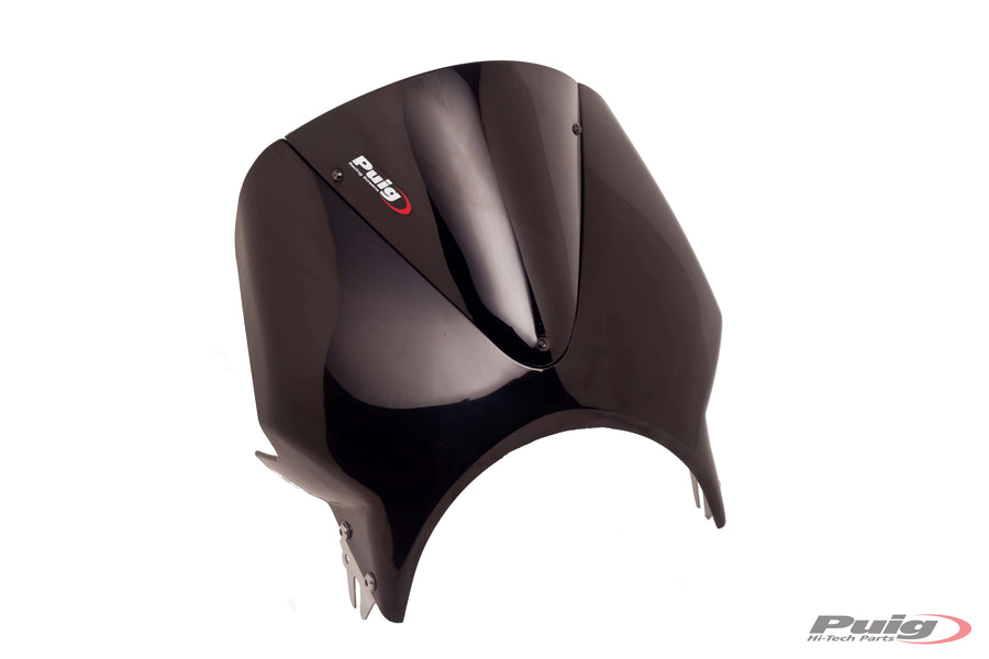 KAWASAKI W 230 [2025] – Vision Windshield Visor – Tinted