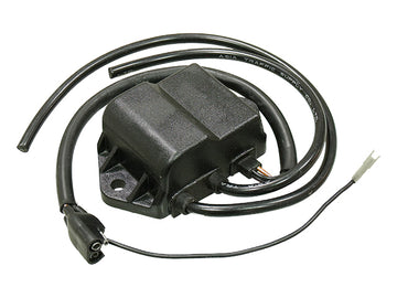 POLARIS 500 INDY CLASSIC (L/C FUJI) [1999-2000] - CDI box for snowmobiles