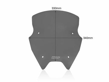 BMW R 1200 R [WRS] – windshield detailed view