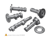 Hm CRE-F 450 R [2013-2014] - Camshaft - Stage 1 Honda CRF450R