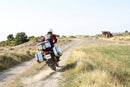 Honda Nr 750 [SHAD] - TR47 Terra Rechter Seitenkoffer-10