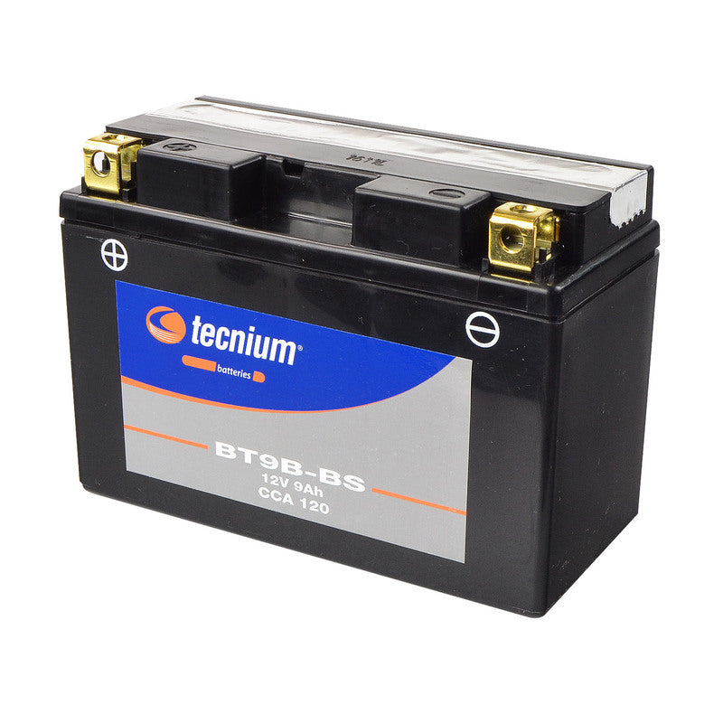Yamaha TT 600 RE [TECNIUM] - Wartungsfreie Motorradbatterie
