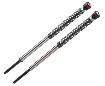 Suzuki GSX 800 S [BITUBO] - JBH 01 Cartridge Kit