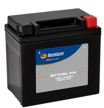 Honda NS 400 R [Tecnium] - Batterie de moto de maintenance-maintenance