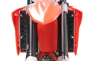 Beta RR 125 [AXP] - Xtrem radiator protection PE-HD-2
