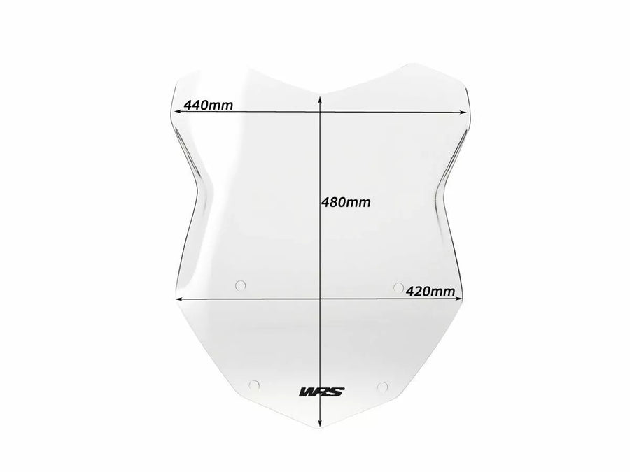 BMW R 1200 R [WRS] – Windschild