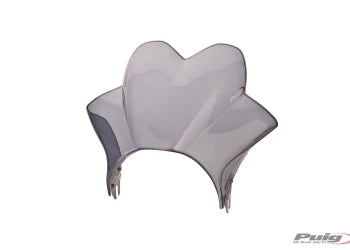 KAWASAKI W 230 [2025] – Raptor Windschild Visier – Transparent