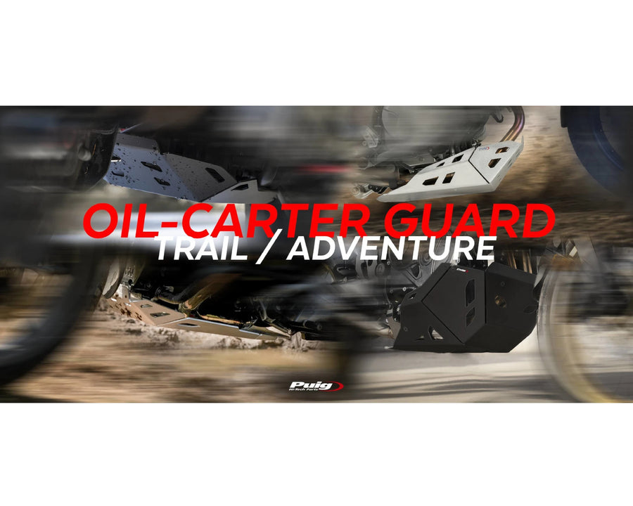 BMW F 900 GS ADVENTURE [2024] – Engine protection – Black