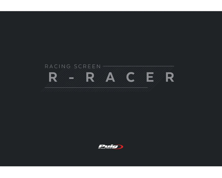 KAWASAKI ZX-10RR NINJA PERFORMANCE [2018] – R-Racer Scheibe – Getönt