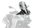 SUZUKI GSX-R 250 [2019] – Z-Racing Scheibe – Getönt-2