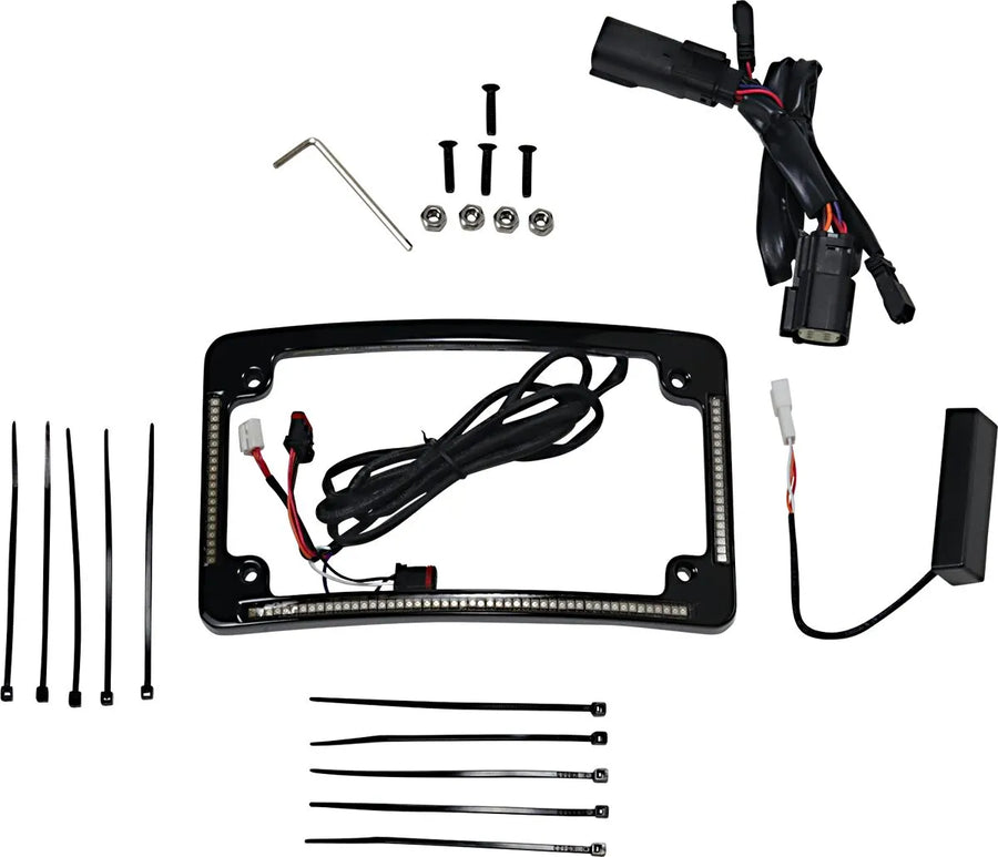harley davidson flhr [CUSTOM DYNAMICS] – Cadre de plaque d'immatriculation à rayon LED