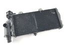 BMW F 650 CS Scarver [2001] - Radiator Water Cooler-1