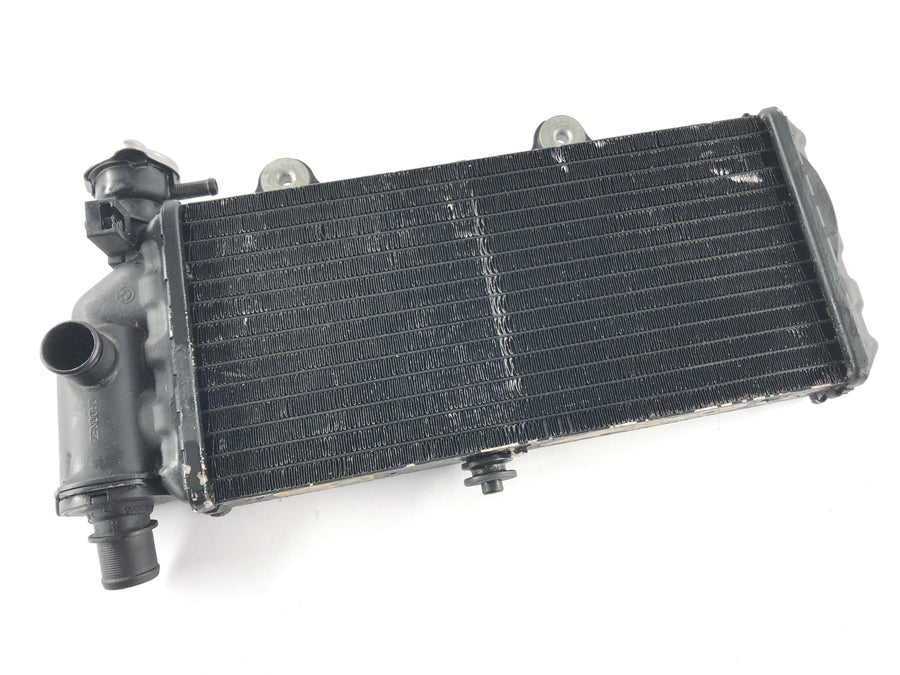 BMW F 650 CS Scarver [2001] - Radiator Water Cooler