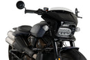 HARLEY DAVIDSON SPORTSTER S RH 1250 S [2024] – Fury – Heavily tinted-30
