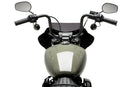 HARLEY DAVIDSON SOFTAIL STREET BOB FXBB [2019] – Mirage – Teinté-40
