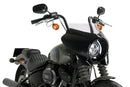 HARLEY DAVIDSON SOFTAIL STREET BOB FXBB [2019] – Mirage – Teinté-43