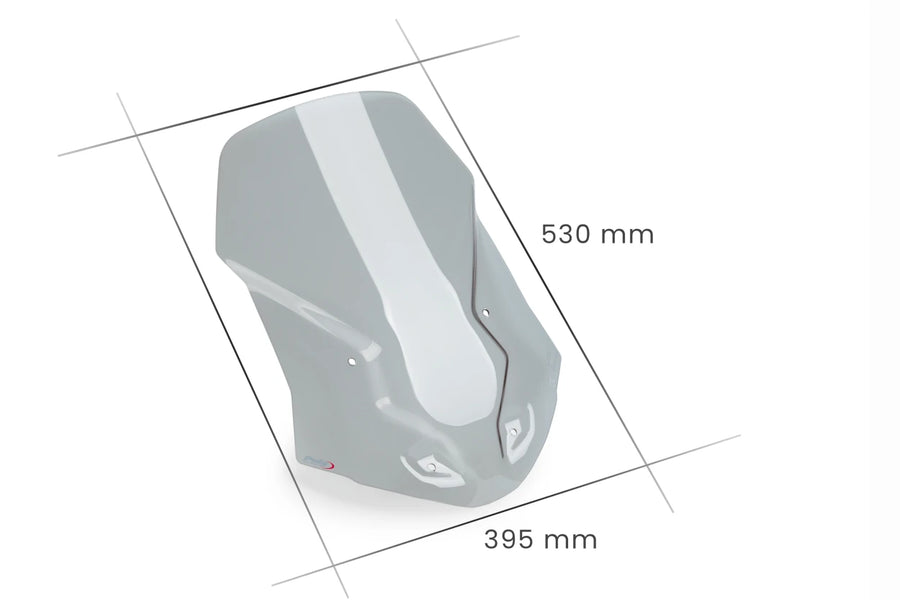 TRIUMPH TIGER 1200 RALLY PRO [2025] – bulle tourisme – noir