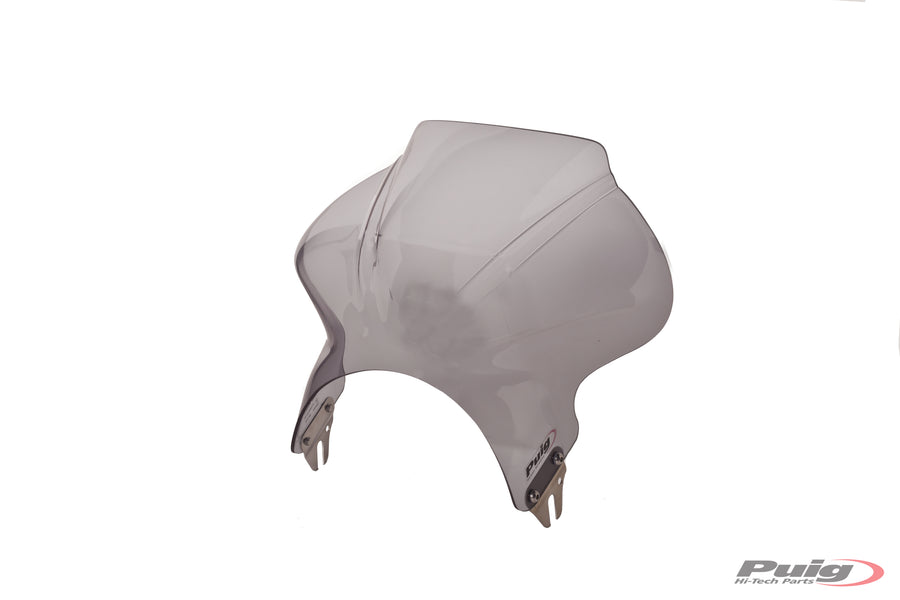 KAWASAKI Z 900 RS SE [2025] – Cockpit windshield fairing – Strong