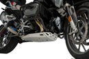BMW R 1250 GS [2024] – Engine protection – Silver-3