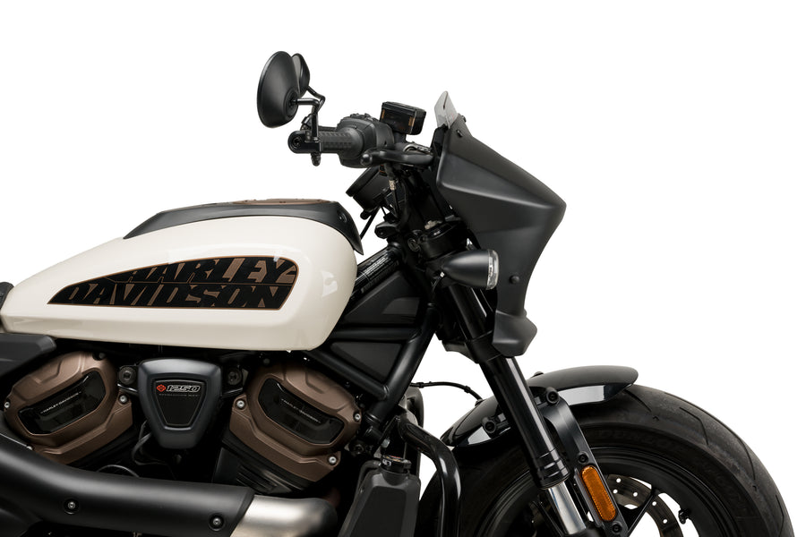 HARLEY DAVIDSON SPORTSTER S RH 1250 S [2024] – Fury – Teinté