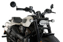 HARLEY DAVIDSON SPORTSTER S RH 1250 S [2024] – Fury – Heavily tinted-28
