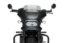 HARLEY DAVIDSON SPORTSTER S RH 1250 S [2024] – Fury – Getönt-10