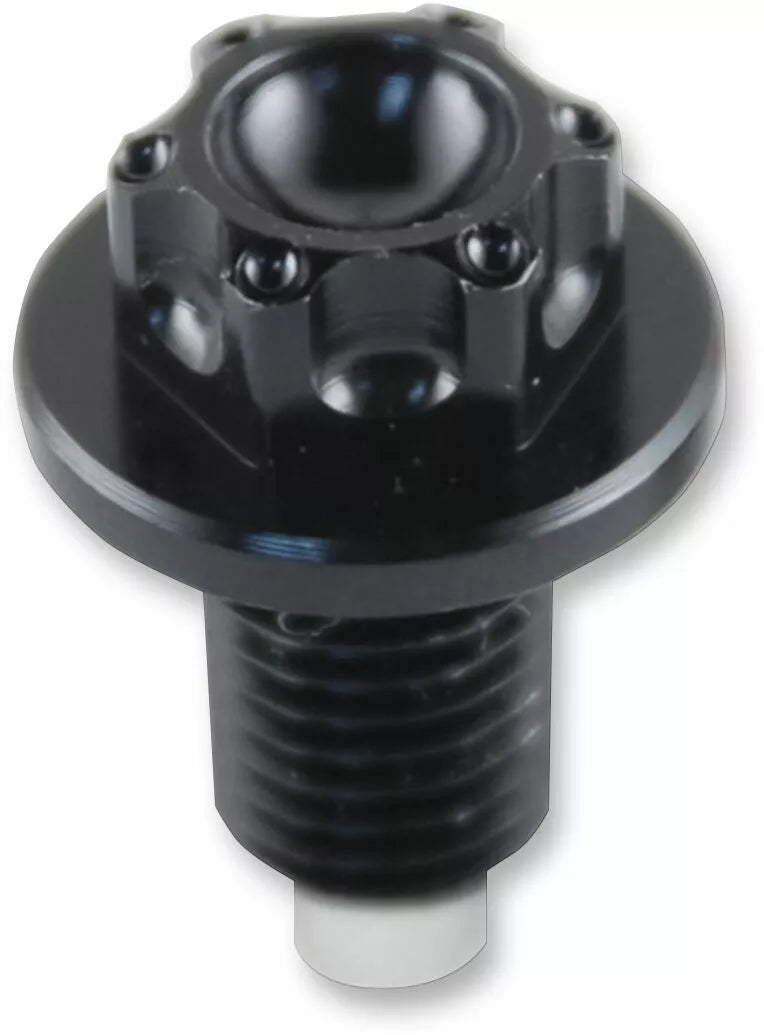Yamaha XTZ 660 [PSR] - magnetic oil drain screw