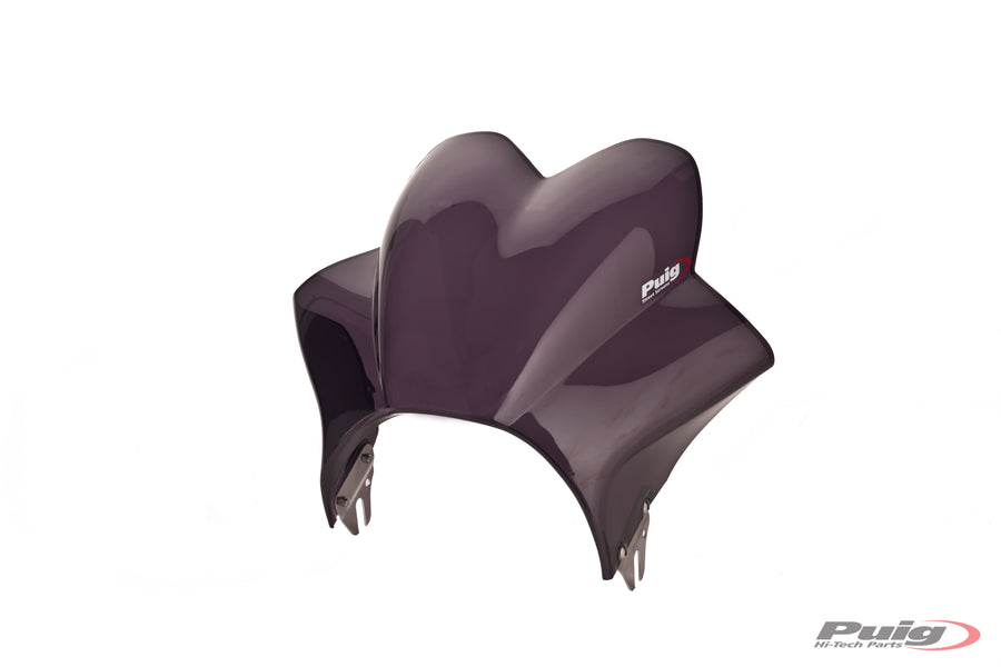 KAWASAKI W 230 [2025] – Wave – Stark getönt