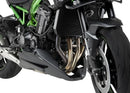 KAWASAKI Z 900 SE [2025] – Verstellbares Gangschaltpedal – Silber-1