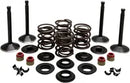 Harley Davidson FL Shovel [KIBBLEWHITE] – Motorventil-Kit