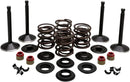 Harley Davidson FL Shovel [KIBBLEWHITE] – Motorventil-Kit