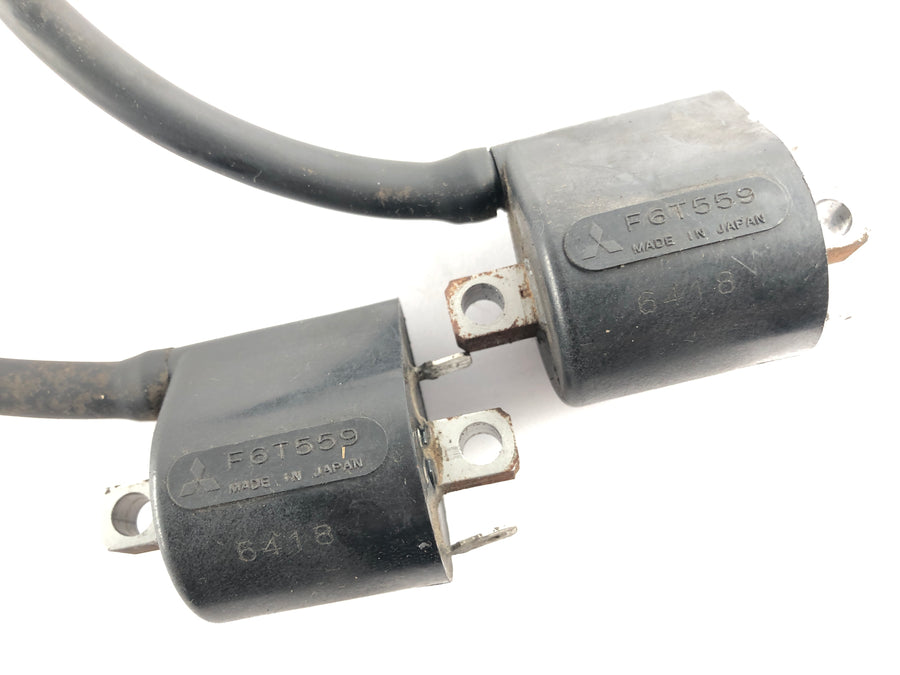 Suzuki DL 1000 V-Strom [2006] - Ignition Coil Set Pair