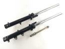 Triumph Bonneville 800 T100 [2004] - Fork Suspension Fork - fuite d'anneaux à mijoter-1