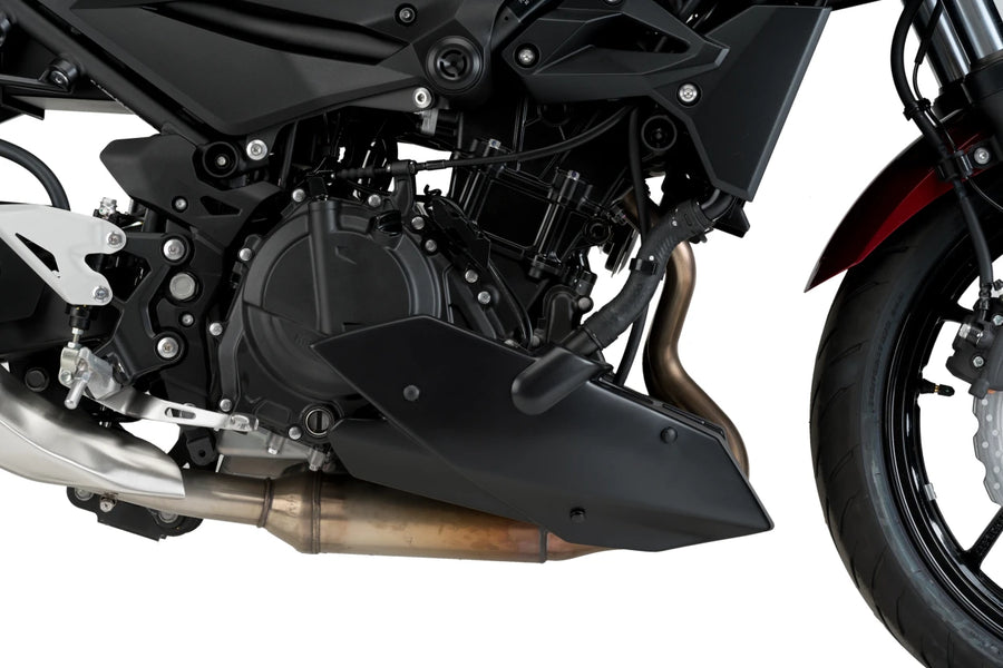 KAWASAKI Z 400 [2020] – Bugspoiler – Carbon look