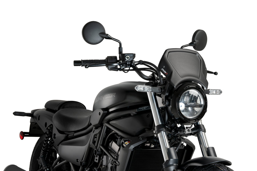 KAWASAKI ELIMINATOR 500 SE [2025] – ALU Frontplatte – Silber