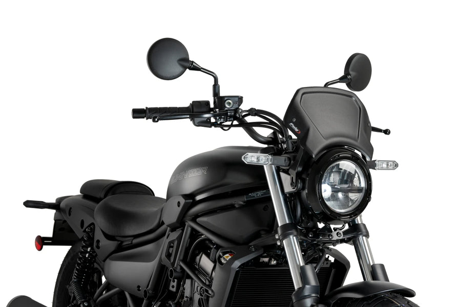 KAWASAKI ELIMINATOR 500 SE [2025] – ALU Frontplatte – Silber