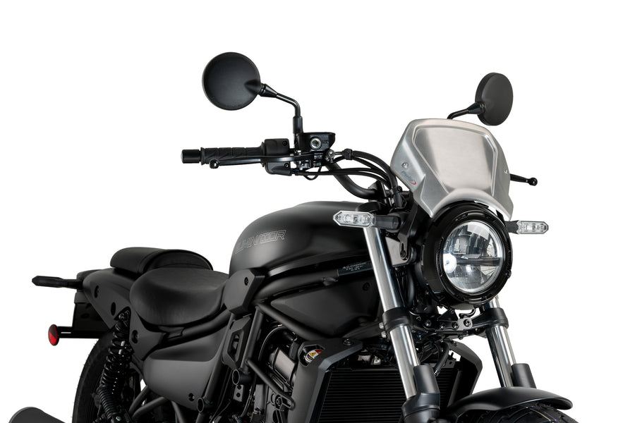 KAWASAKI ELIMINATOR 500 SE [2025] – ALU Frontplatte – Silber