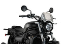KAWASAKI ELIMINATOR 500 SE [2025] – ALU Frontplatte – Silber-1