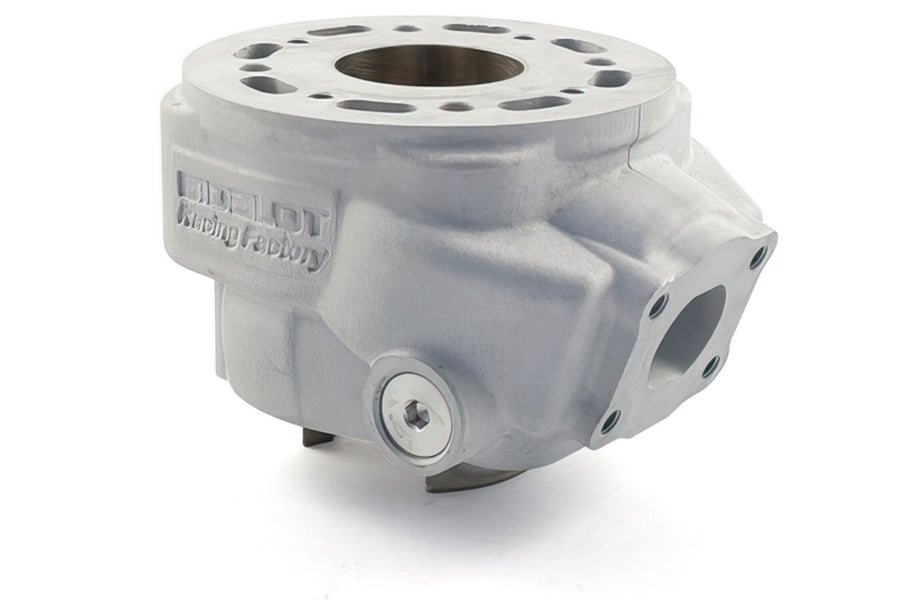 Beta RR Enduro 50 2T - cylinder kit RF50WR