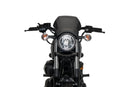 YAMAHA XV 950 R [2020] – ALU front plate – silver-9