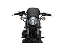 YAMAHA XV 950 R [2020] – ALU front plate – silver-7