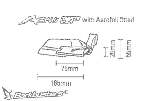 Caballero 250 [BARKBUSTERS] – AERO-GP Hebelprotektor