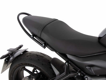 Triumph Trident 660 [2021-2024] - Palaance holding concept - 0