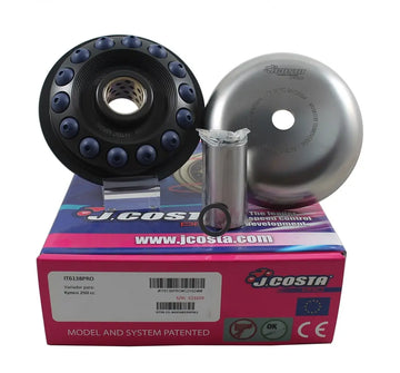 Daelim S2 125 F.I Freewing [2009] - Variator Pro – Bild 1