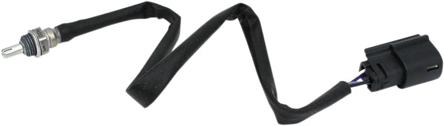 Harley-Davidson FLHCS 1923 Softail Heritage Classic 117 [2025] - 12 mm lambda sensor - picture 1