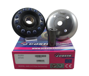 Kymco PEOPLE 300 I GT [2011-2012] - Variator Pro – Bild 1