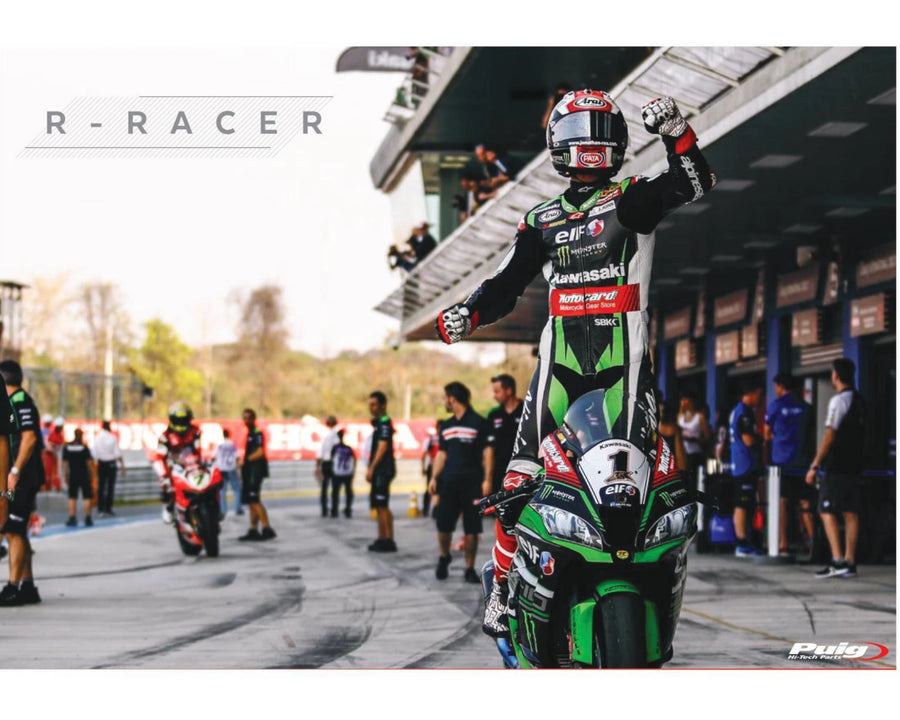 DUCATI PANIGALE V2 [2024] – R-Racer Screen – Transparent
