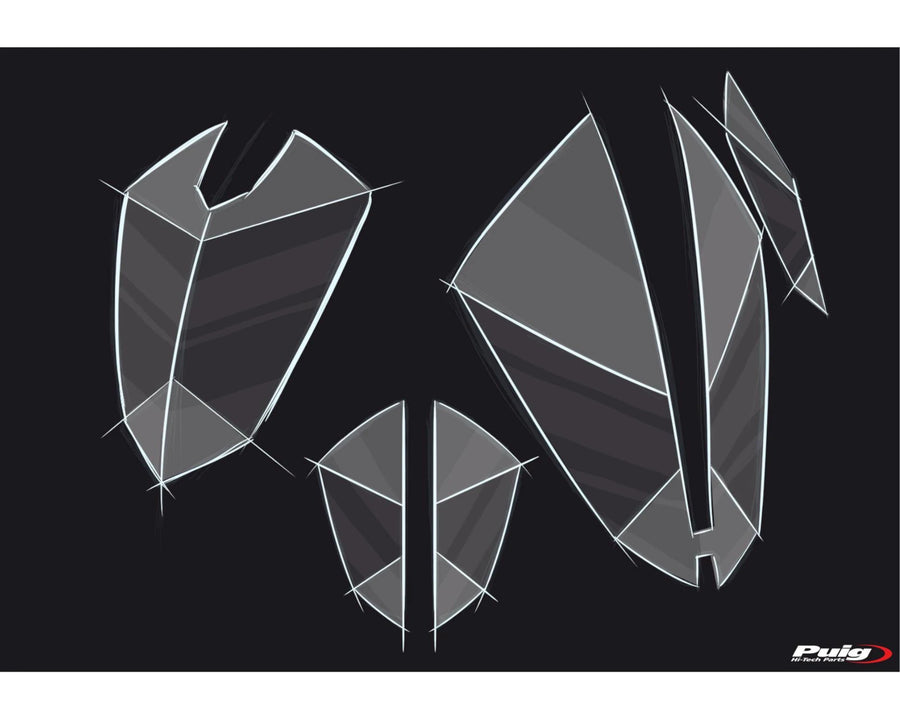 KTM 390 ADVENTURE SW [2024] – Headlight protection – Transparent