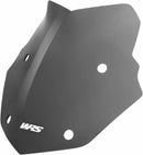 BMW R 1200 R [WRS] - windshield-1