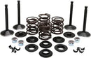 Harley Davidson FX Shovel [KIBBLEWHITE] – Motorventil-Kit